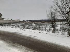 Izvorani, Ilfov - teren extravilan 3106 mp