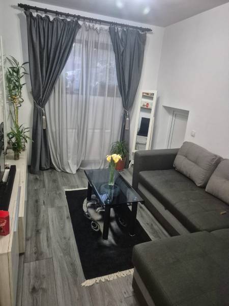 Vand apartament 2 camere la demisol- Berceni-