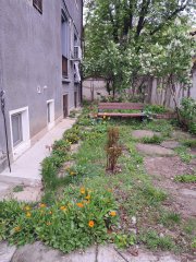 Particular vand apartament Floreasca