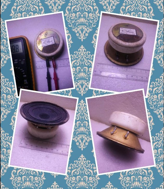 Tweeter difuzor raritate vintage Elbau Typ Bogen N