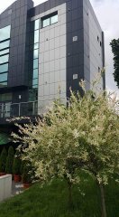 Imobil comercial,birouri,penthouse,central Rm  Vl