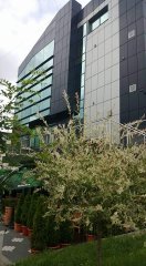 Imobil comercial,birouri,penthouse,central Rm  Vl