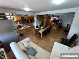 Casa de vacanta P+M,anexa  exploatatatie agricola
