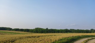 Vand teren in Frumusani 4374mp