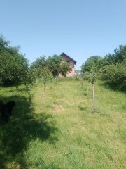 Proprietar privat Vând casă cu grădină generoasă 