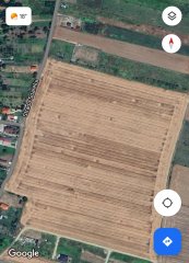 Vand teren in Giarmata Mare