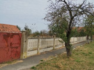 Casa veche din 1955 si teren intravilan 6153 mp