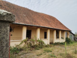 Casa veche din 1955 si teren intravilan 6153 mp