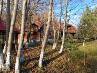 Proprietate deosebită de vânzare – Izvoarele, PH.