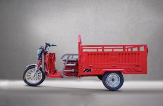 Tricicletă Electrică GL15000