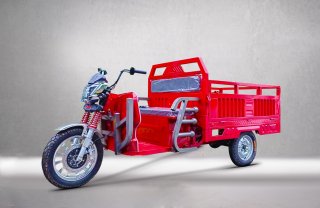 Tricicletă Electrică GL15000