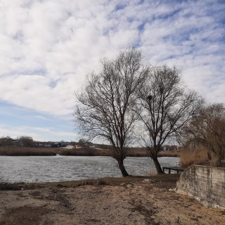 Teren cu ieșire la lac în Corbeanca – O oportunita