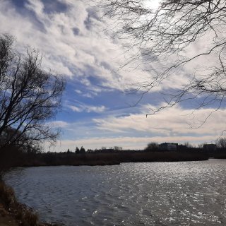 Teren cu ieșire la lac în Corbeanca – O oportunita