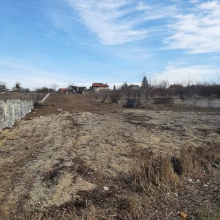 Teren cu ieșire la lac în Corbeanca – O oportunita