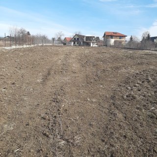 Teren cu ieșire la lac în Corbeanca – O oportunita