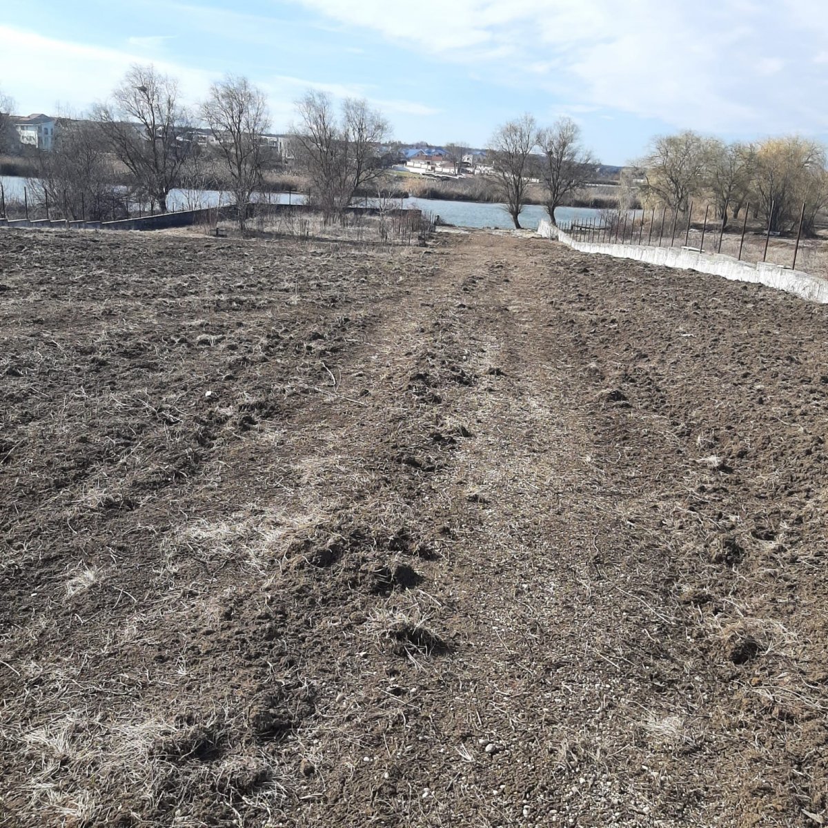 Teren cu ieșire la lac în Corbeanca – O oportunita