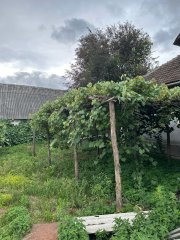 Casa de vânzare Asuaju de Jos 