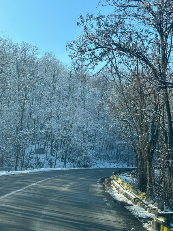 Vând pădure moștenire la preț avantajos