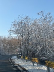 Vând pădure moștenire la preț avantajos