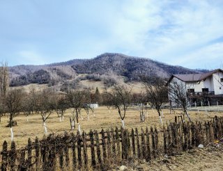 Vand Parcela Intravilan