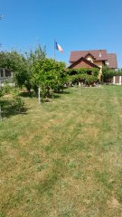 Teren intravilan, Bistrita, Str. Aleea Coacăzelor