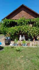 Teren intravilan, Bistrita, Str. Aleea Coacăzelor