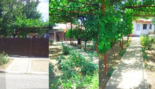 Casă bătrânească + teren generos 783mp Cumpăna