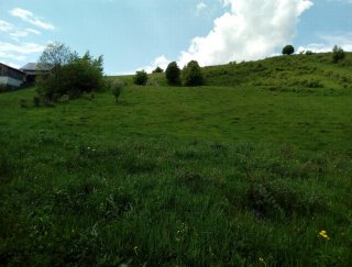 Teren in zona linistita si frumoasa -Bucovina