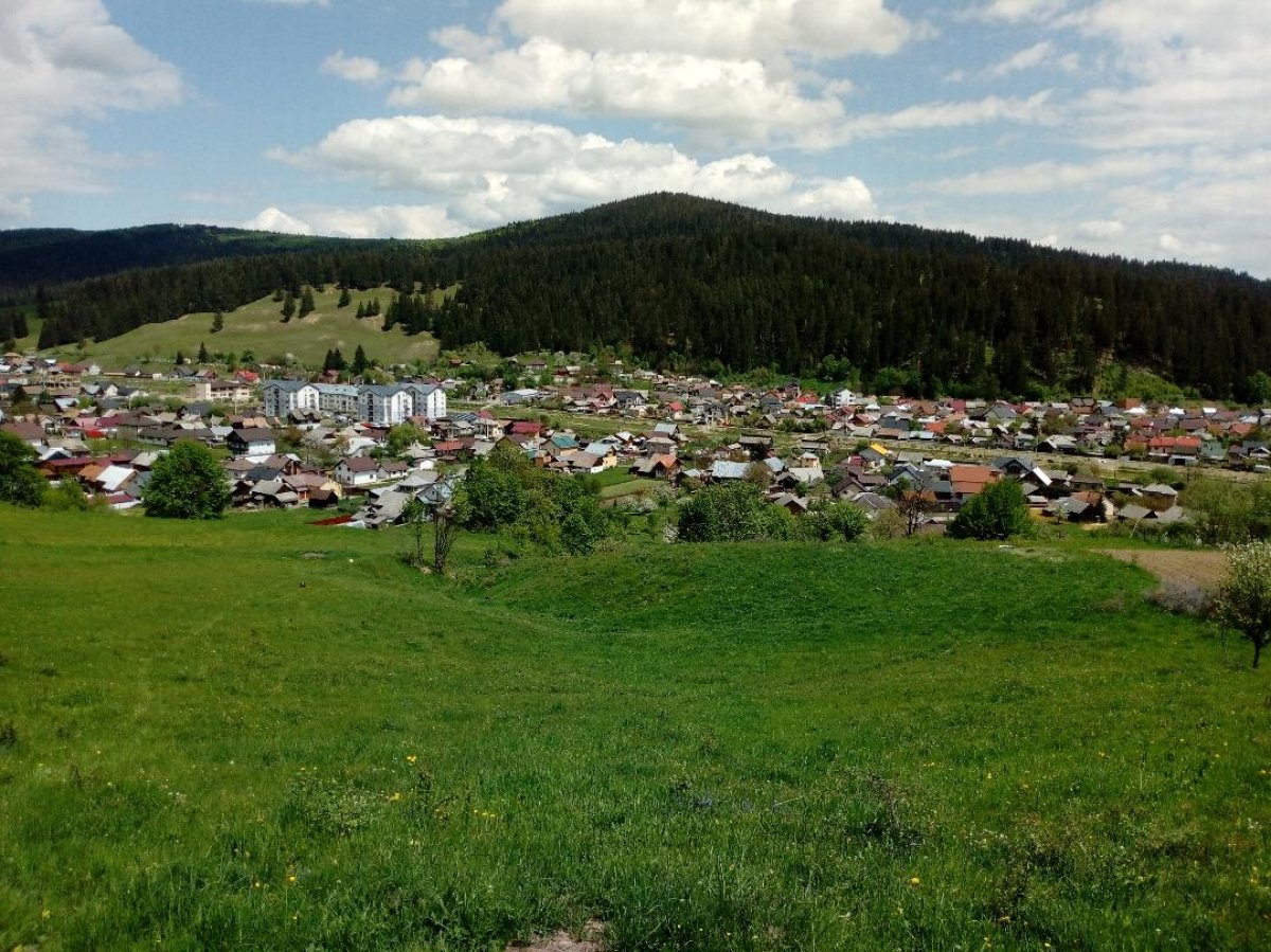 Teren in zona linistita si frumoasa -Bucovina