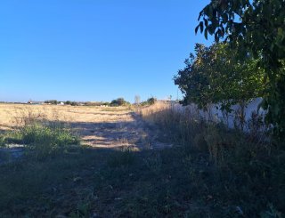 Teren in Stejaru la 13 km de Slatina