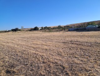 Teren in Stejaru la 13 km de Slatina