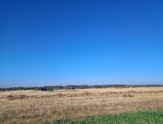 Teren in Stejaru la 13 km de Slatina