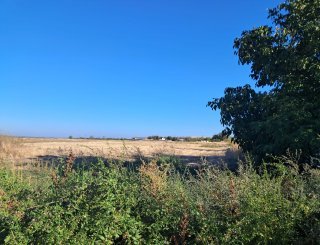 Teren in Stejaru la 13 km de Slatina