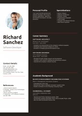 CV PROFESIONAL & EUROPASS