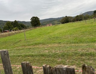 Teren de vanzare