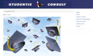 Consultanta pentru redactarea academica
