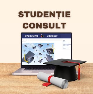 Consultanta pentru redactarea academica