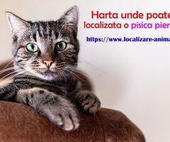 Localizeaza pisica pierduta sau un caine gasit pe harta nationala cu animale